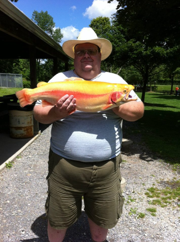 The Trophy Room – Big Brown Fish & Pay Lakes